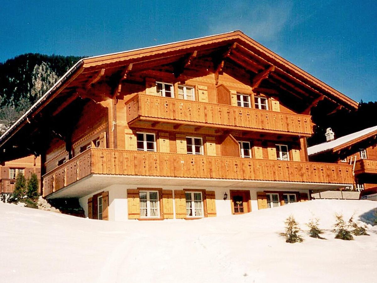 Apartment Chalet Mittelhorn-1 Grindelwald Zewnętrze zdjęcie