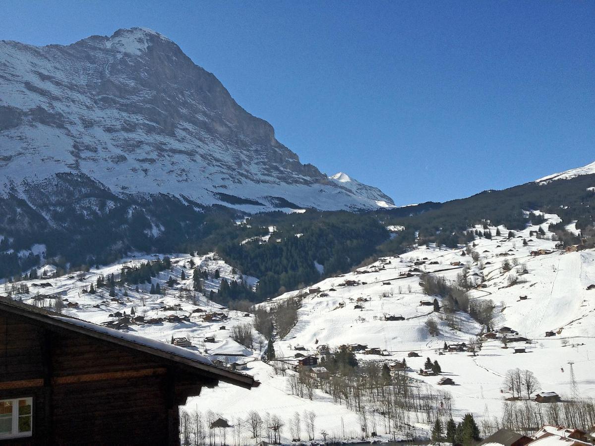 Apartment Chalet Mittelhorn-1 Grindelwald Zewnętrze zdjęcie