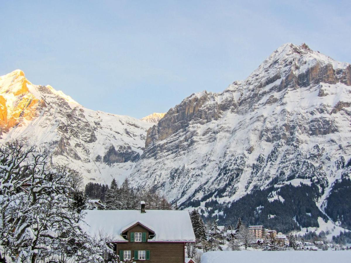 Apartment Chalet Mittelhorn-1 Grindelwald Zewnętrze zdjęcie